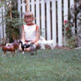 Little Dawn with Breyer Horses -- Grandfather photo